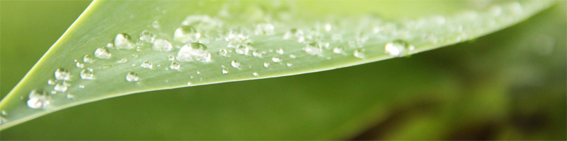 Drainage Lymphatique Vodder Nyon Suisse Romande Magali Sermondade Voyame